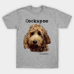 Red Cockapoo / Spoodle and Doodle Dog T-Shirt